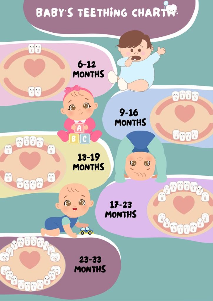 Baby Teething Chart
baby teeth coming in late
teething chart for toddlers
how long does teething last
baby teething age